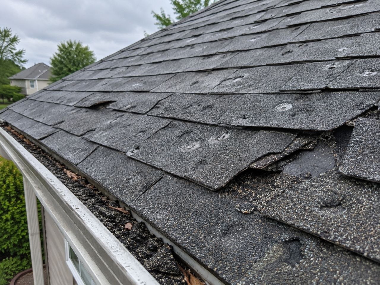 Hail and wind damage